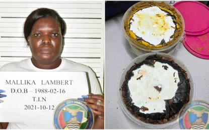 Nail technician busted with cocaine found in frozen curry, pepper-pot at CJIA