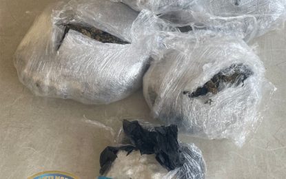 CANU nabs two in drug raid