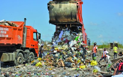 Exxon eyes Haags Bosch as dumping ground for its waste