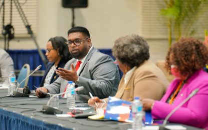 World must fix current developmental pathway instead of making new ones — President Ali