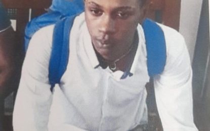 Second suspect remanded for murder of Kaneville man