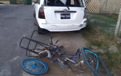 Snow cone vendor killed in Tuschen road accident