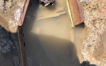 Burial ground from “over 200 years” exposed on Berbice seashore.