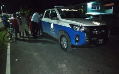 Man reportedly killed by bees at Montrose seawall