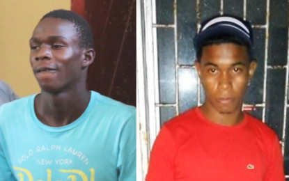 Aunt who hid electrician’s killers out on bail