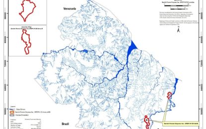 Foreigners register company locally for logging operation