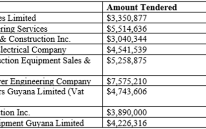 Puerto Rican company submits billion-dollar bid to install solar grid
