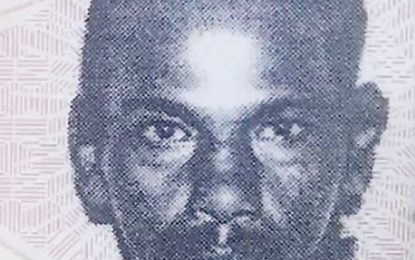 Man killed, stuffed in rice bag trying to save son from licks