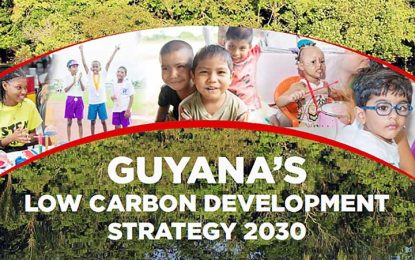 Guyana wants up to US$54 Billion annually for forest services — LCDS 2030