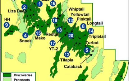 US$900M gas-to-shore, oil projects will significantly impact marine resources – Exxon Report reveals