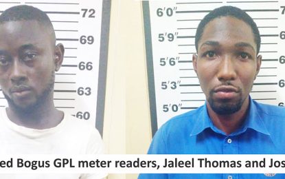 Bogus meter readers remanded