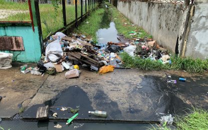 City Hall to spend $8.8M for holiday cleanup
