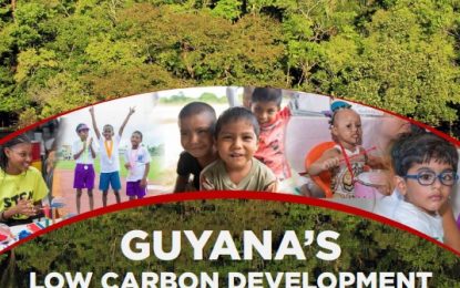 Guyana’s Low Carbon path to be financed from ‘non-existent’ market