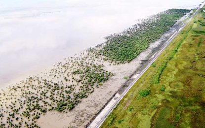 New LCDS talks up mangrove restoration