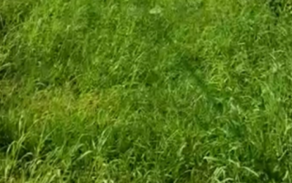 Overseer resigns after refusing to sign off unverified works