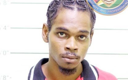 Police, CANU destroy two multi-million dollar ganja farms