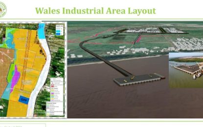 Govt. discards bids received for gas-to-shore project