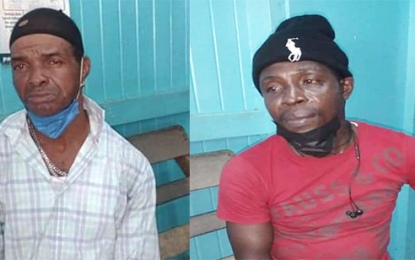 Two litterbugs arrested