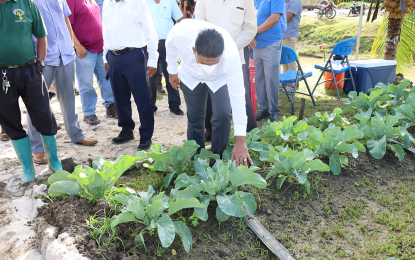 Construction underway for five model shadehouses as part of President Ali’s youth agri. initiative
