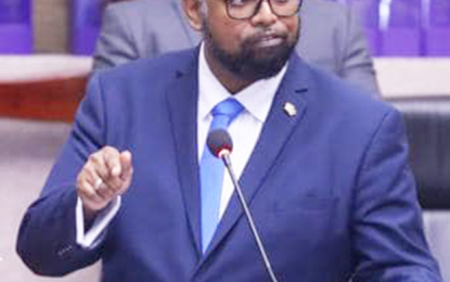 Pres. Ali promises fishermen $8M profits from fish cage, still in experimental stage