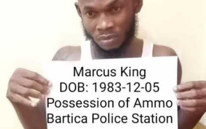 Man jailed for two years, fined $100,000 over illegal possession of gun, ammo