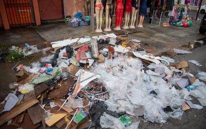 Private sector joins Govt. in city clean-up campaign