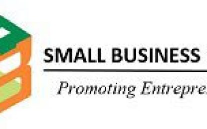 Small Business Bureau disbursed $328M in grants in 2021