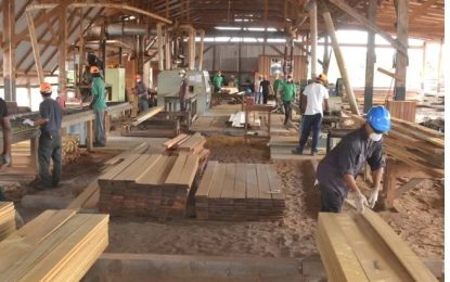 Forestry Sector made a turnaround in 2021