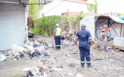 Cops, cameras to ward off litterbugs – President promises