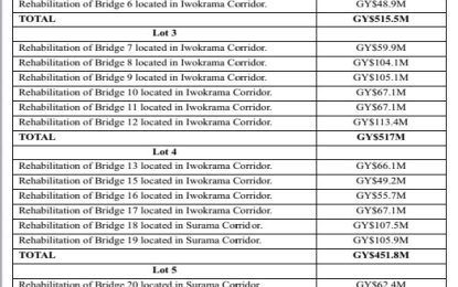 US$13M to upgrade  32 ‘bush’ bridges to  international standard