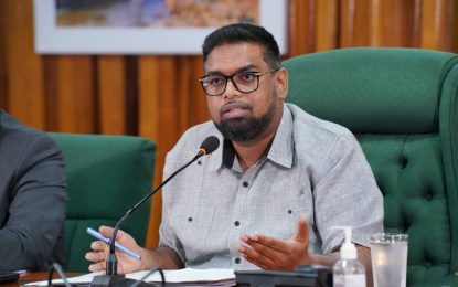 Regional commitment vital in achieving 25% reduction in food imports by 2025 – President Ali