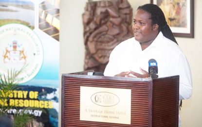 Natural Resources Ministry staffer had forged cheques and cashed it at bank in 2018 – PAC hears