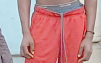 Youth loses his life trying to save his cellphone