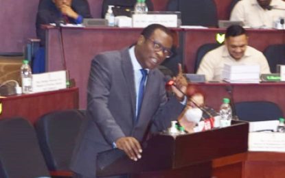 Guyana to have UAE, Saudi Embassies this year — Min. Todd