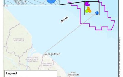 Govt. selects Exxon’s client over independent firms to review US$9B Yellowtail plans