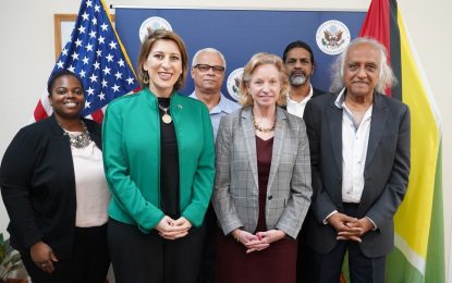 Article 13 raises concerns with US on threat to freedom of speech, other national issues