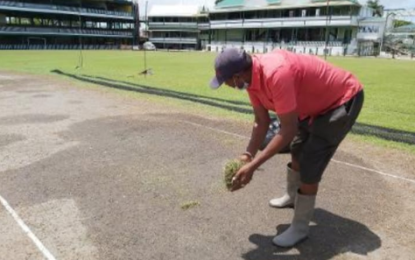 Bourda to come alive today with Big Man Cricket