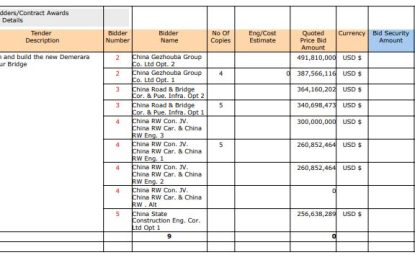 Govt. in talks with Amaila Falls Chinese contractor to build new DHB