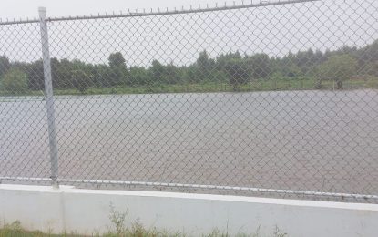 CECC T/10 semis and final set for Sunday