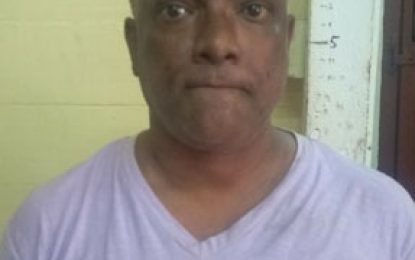 Customs officer gets bail for shooting horse cart men