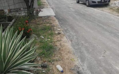 GRA officer arrested for shooting horse cart operators