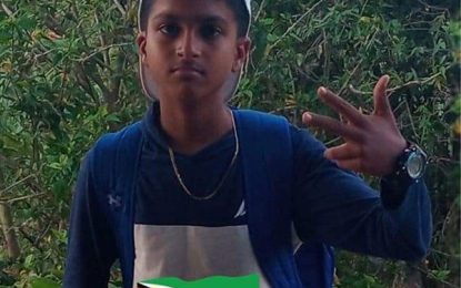 Boy, 12, drowns in trench at Black Bush Polder