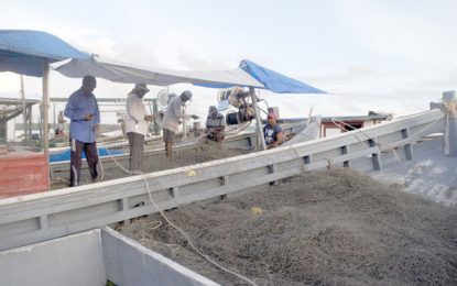 ExxonMobil says it will compensate fishermen for losses