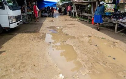 Construction of Leonora Market road to commence soon