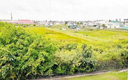 Site for new hospital at Anna Regina earmarked