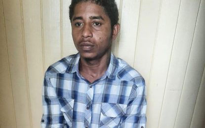 Crabwood Creek man charged with murder of US-based Guyanese