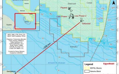 Polluted water can impact fish at Yellowtail project site – Environmental study