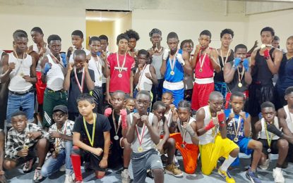 Largest turnout as Under-16 boxers showcase skills at Pepsi Mike Parris tournament