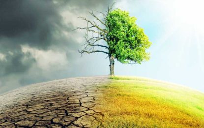 Exxon, BP lose second attempt at federal appeal against Baltimore climate change lawsuit