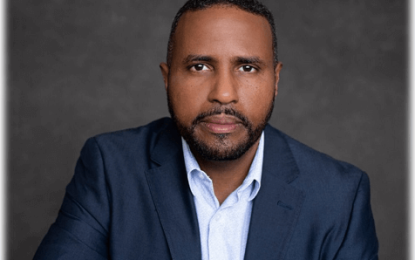 Another expert agrees feasibility study critical for success of Gas-to-Power Project